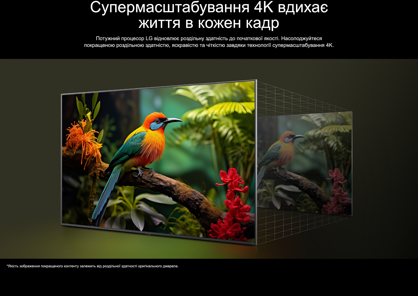 Description image