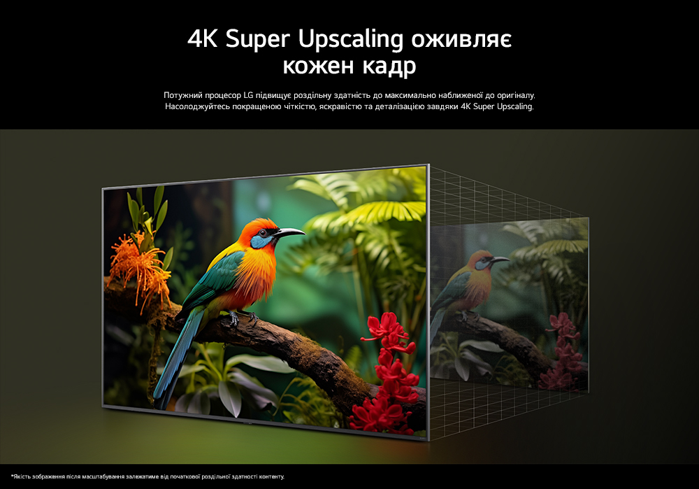 Description image