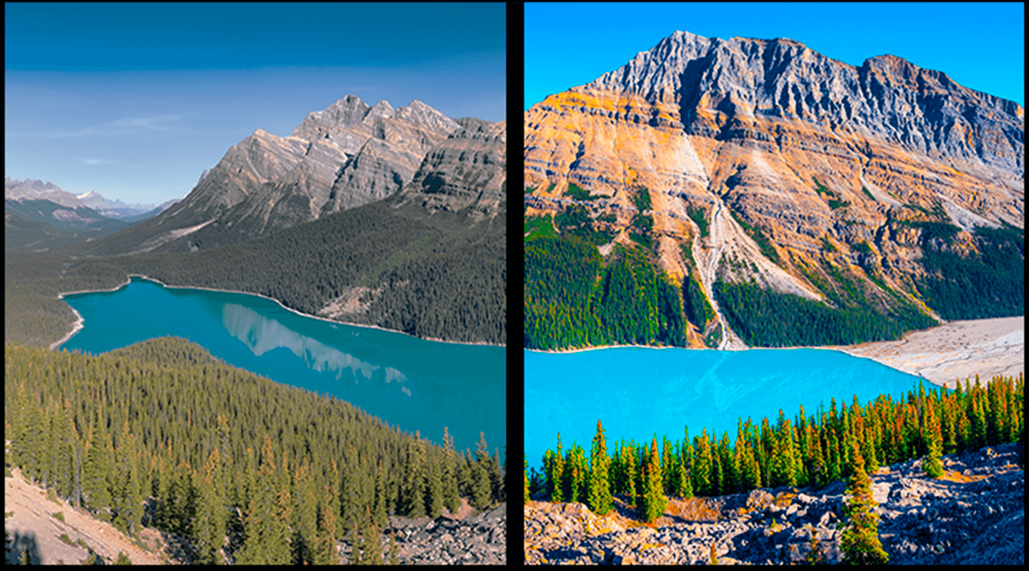Description image