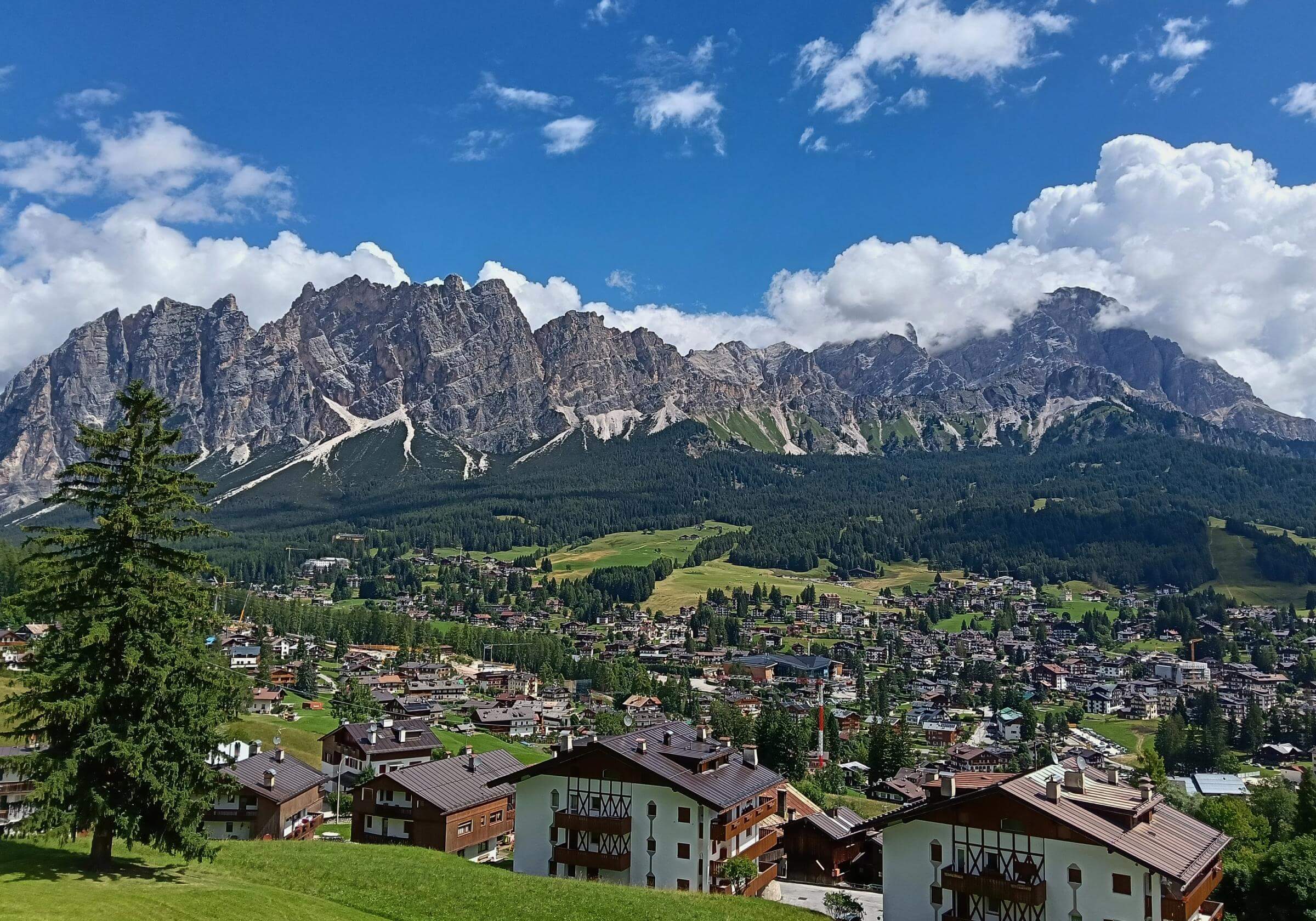 Description image