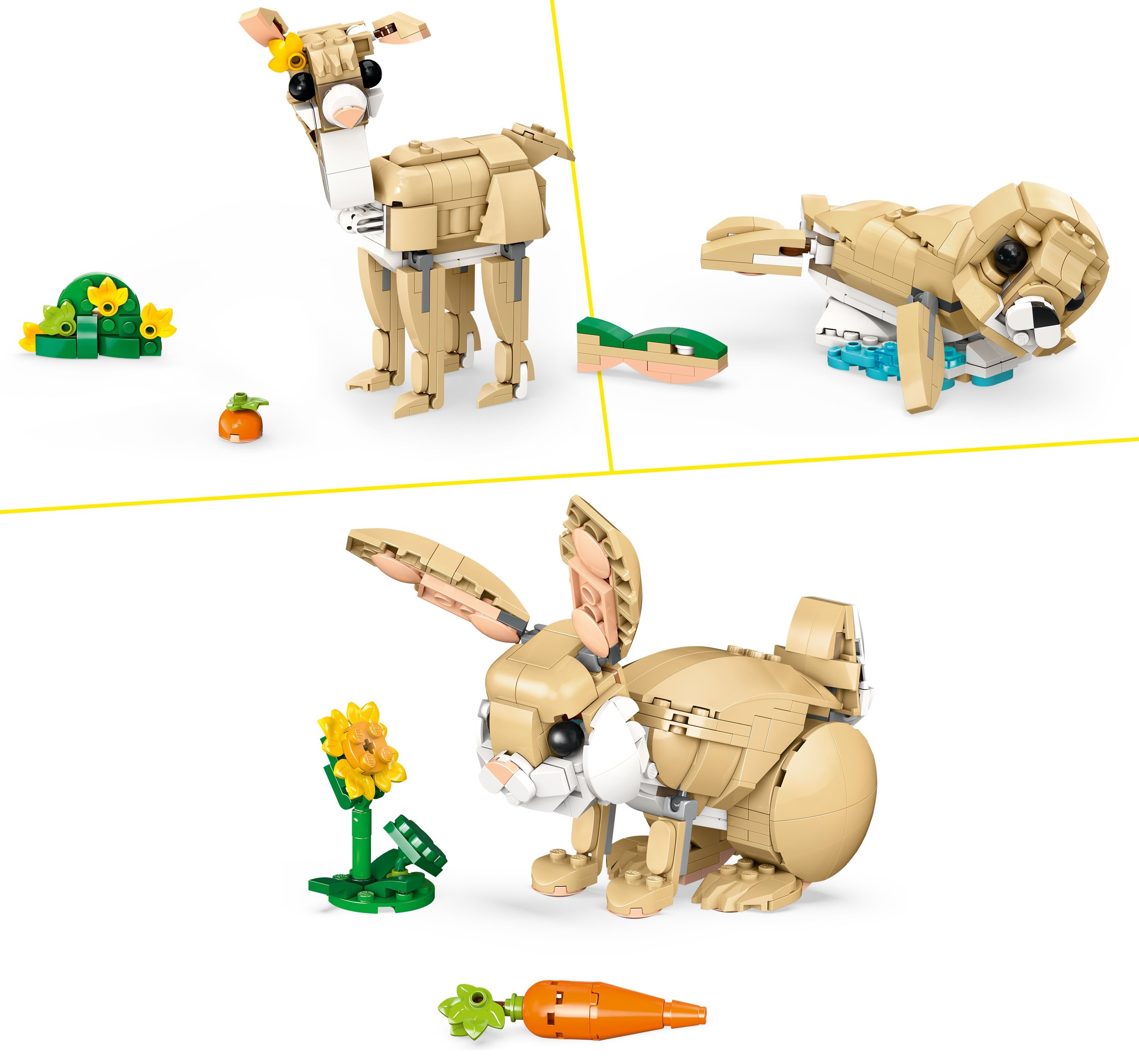 Description image
