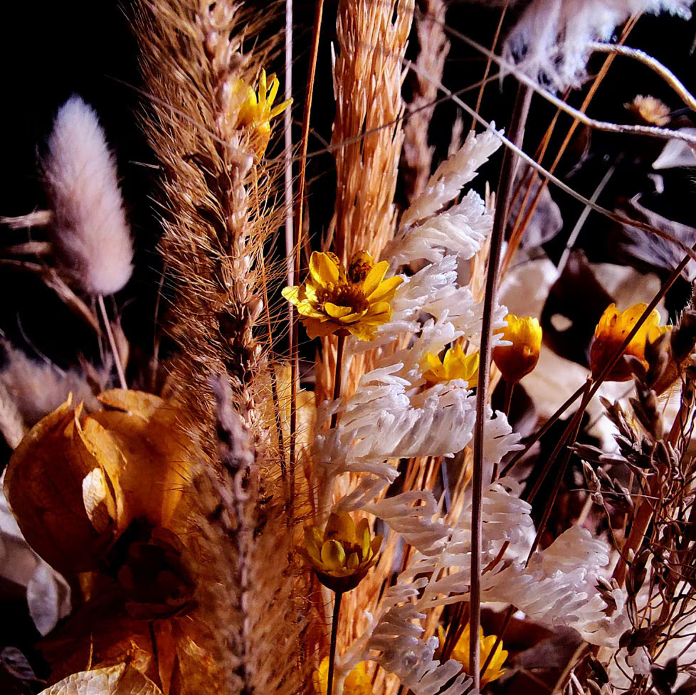 Description image