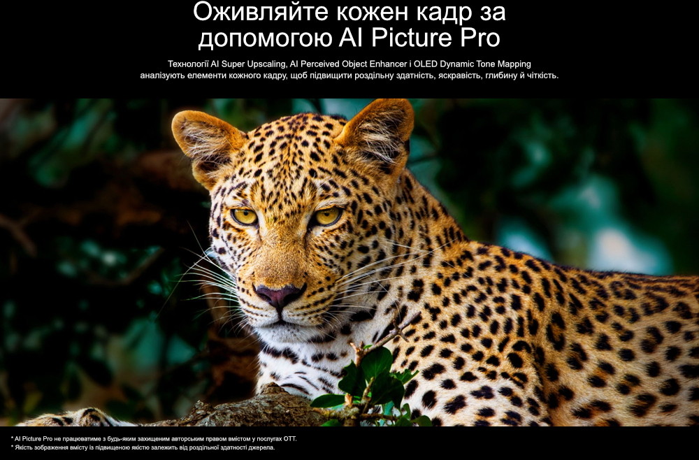 Description image