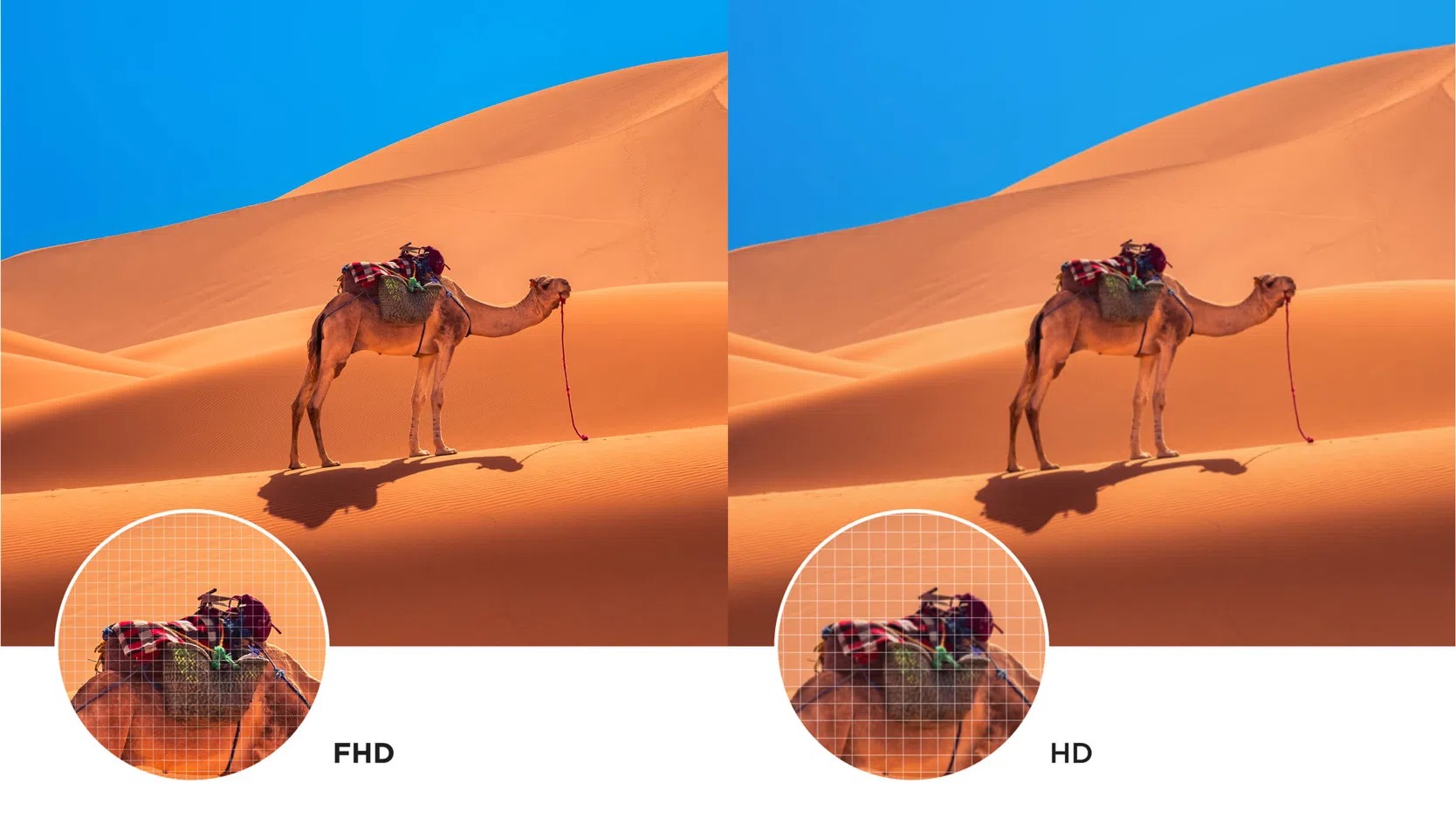 Description image