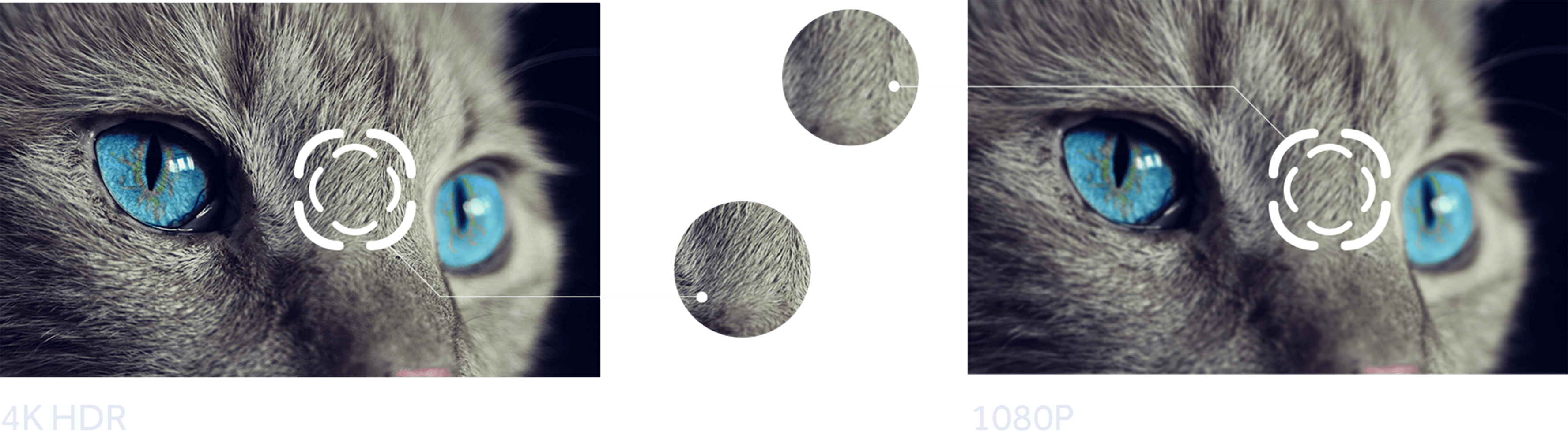 Description image