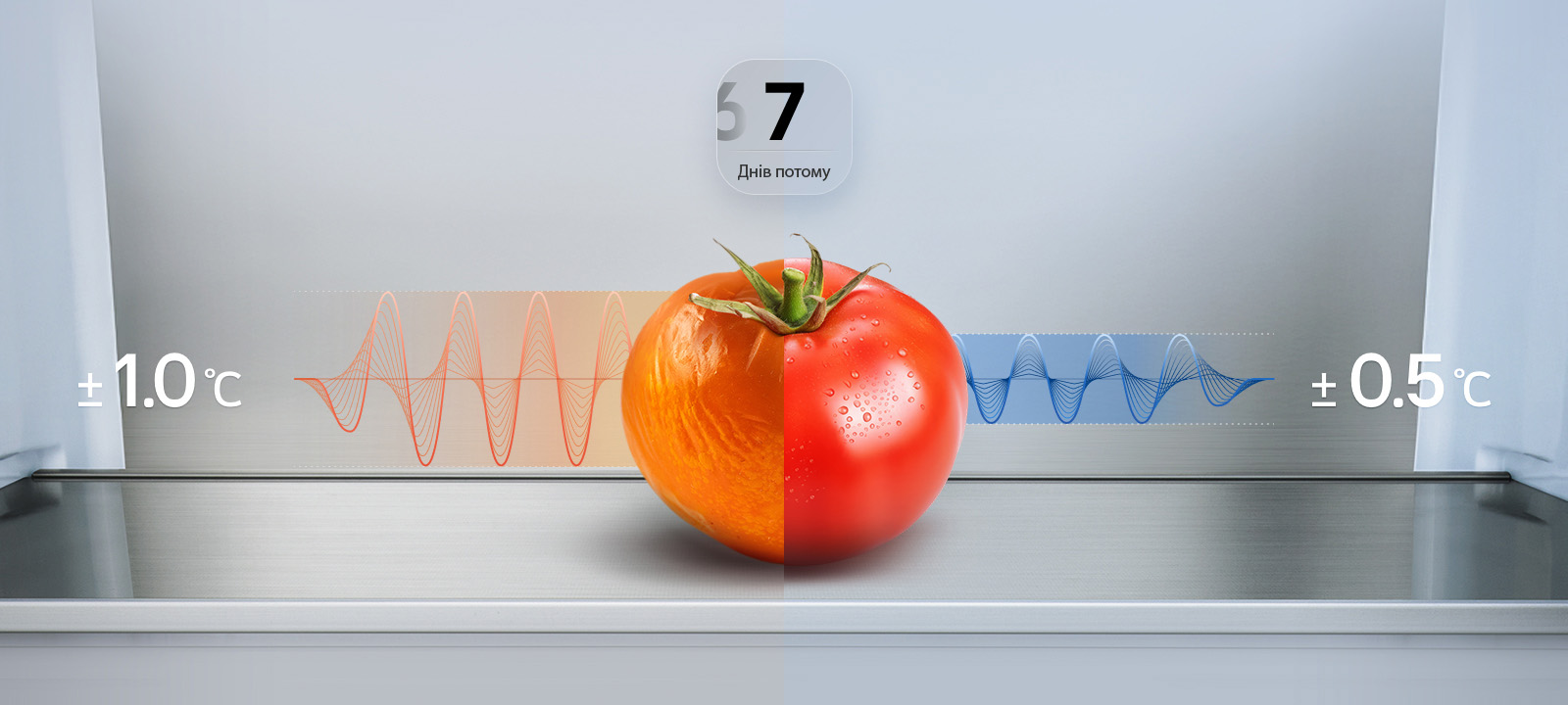 Description image