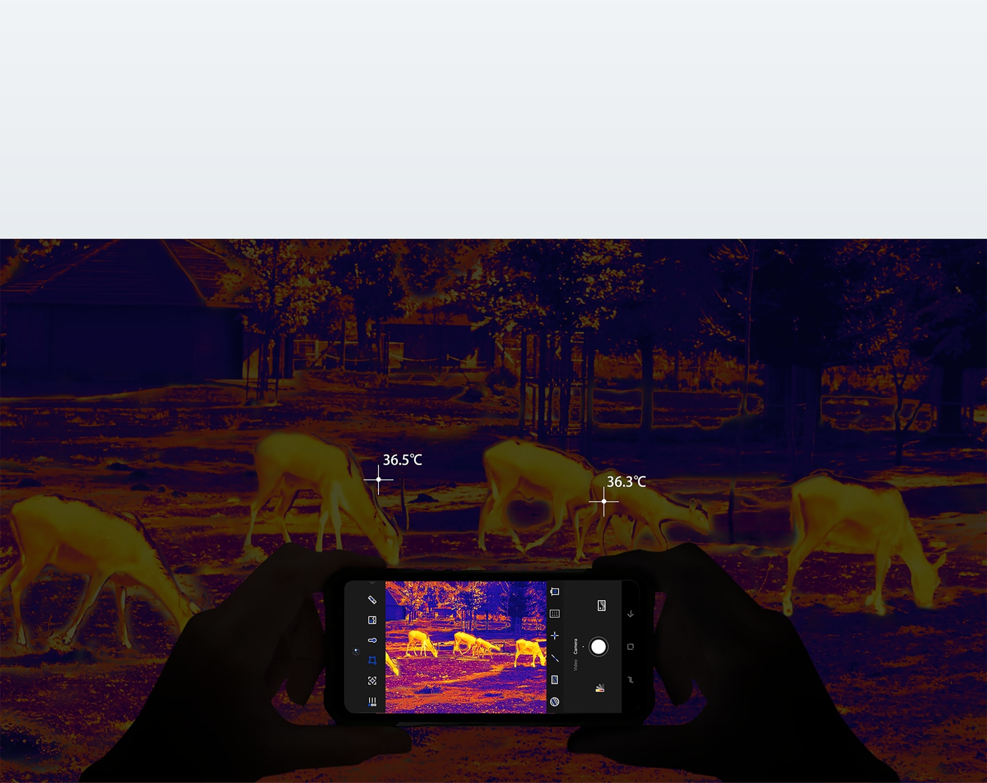 Description image