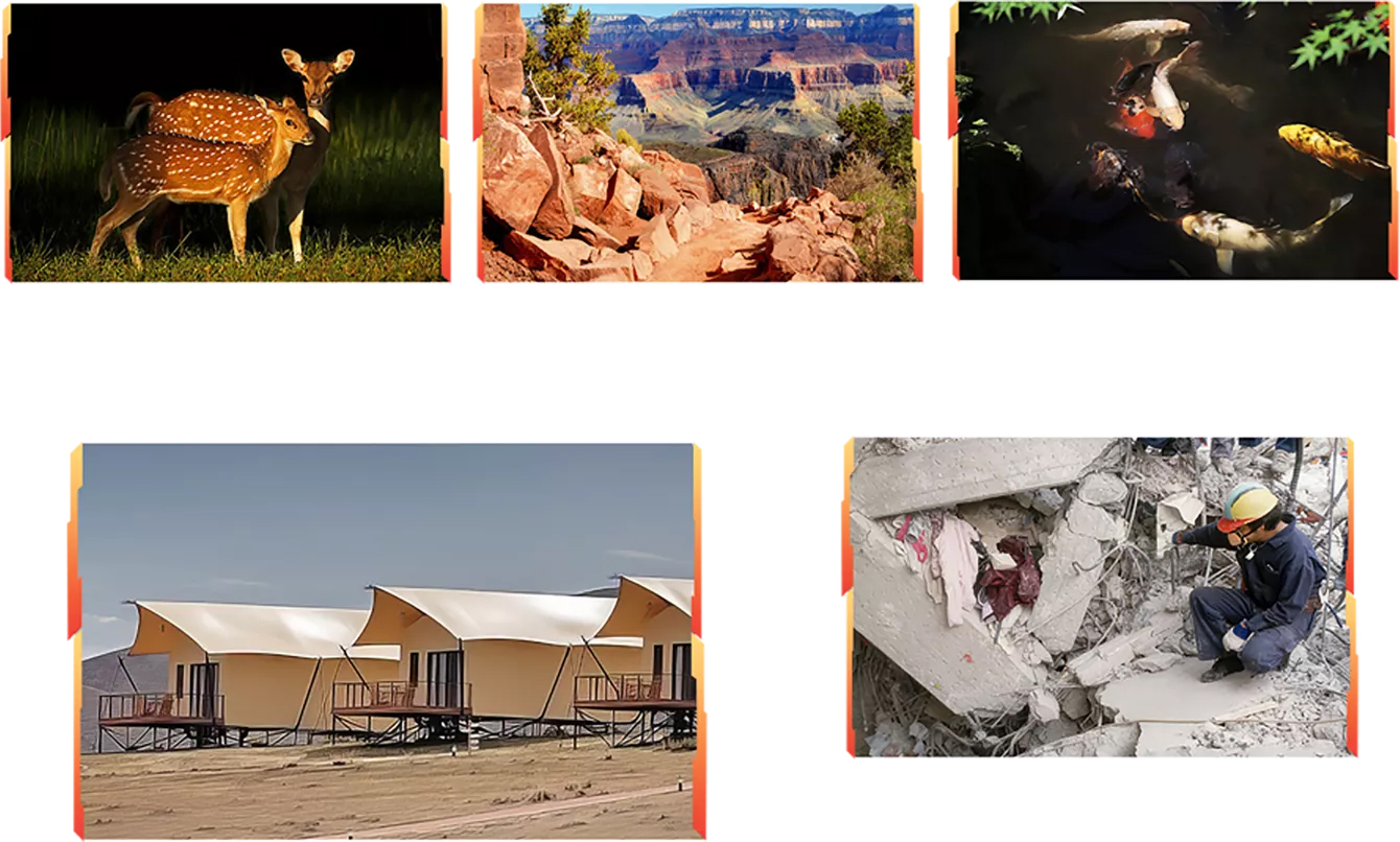 Description image