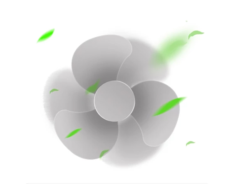 Description image