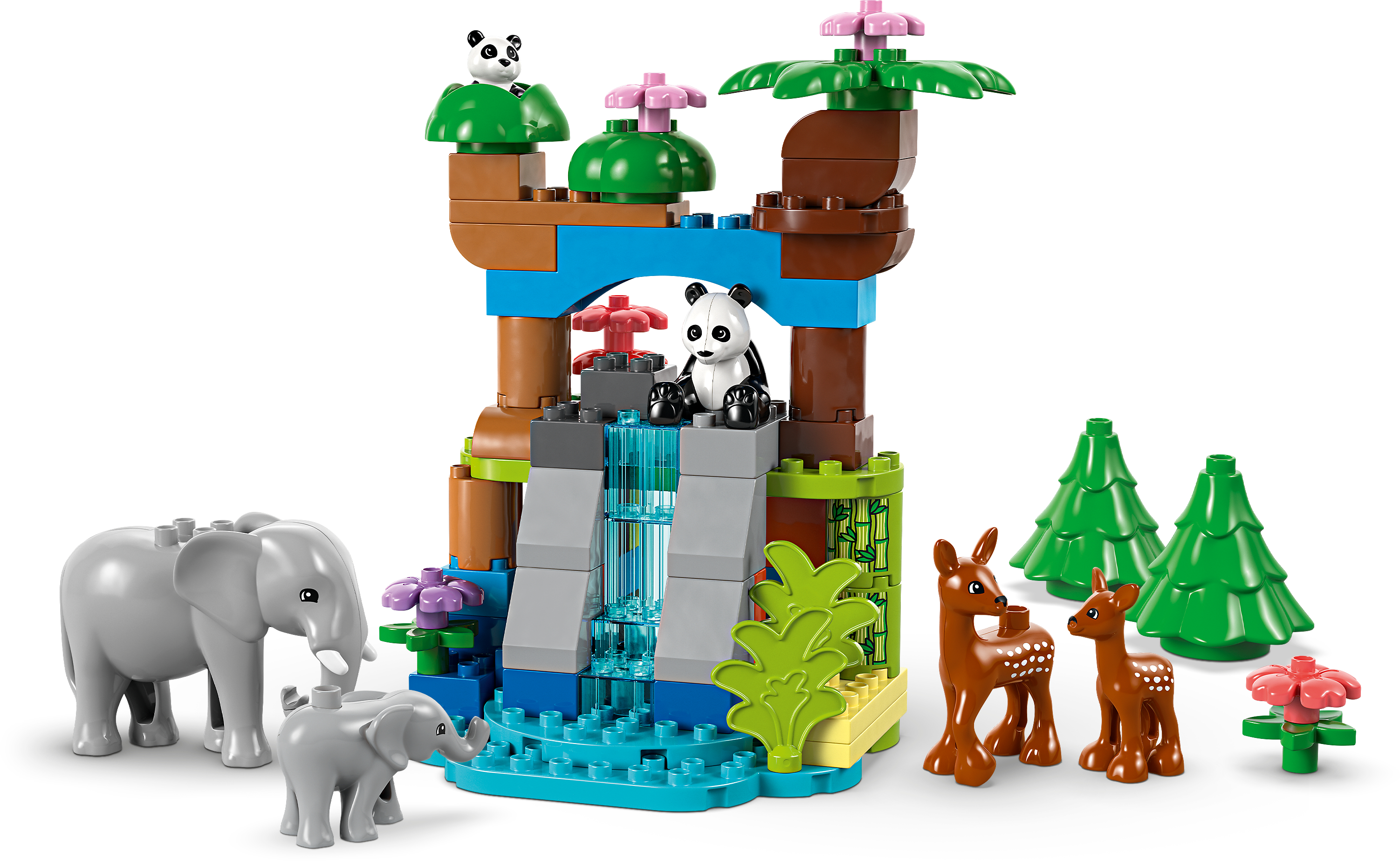 Description image