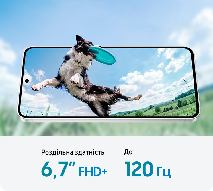Description image